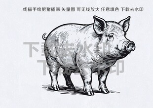 手绘线描矢量肥猪