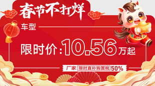 新年元旦马年红色异形车顶牌