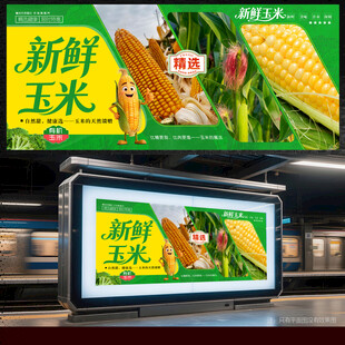 玉米展板