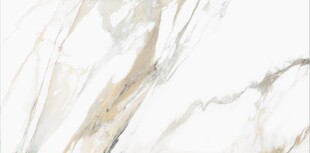 白色鱼肚金大理石石纹