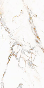 白色鱼肚金大理石石纹