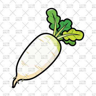 卡通白萝卜插画