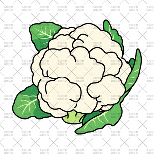 卡通白花菜插画