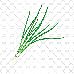 小葱苗插画