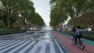 城市骑行道上的骑行者