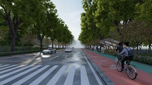 城市林荫道上的骑行者