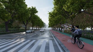 城市中绿荫下的骑行之路