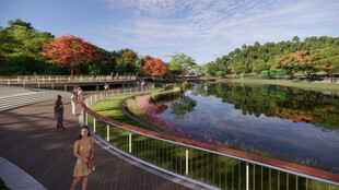 湖畔漫步景 秋色迷人眼