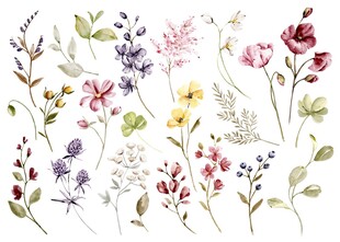手绘多彩花卉图案集合