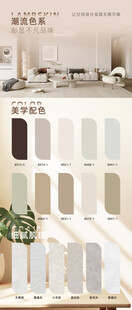 乳胶漆墙面色彩样本展示