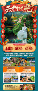 新年春节云西双版纳旅游海报