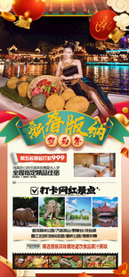 新年春节云西双版纳旅游海报
