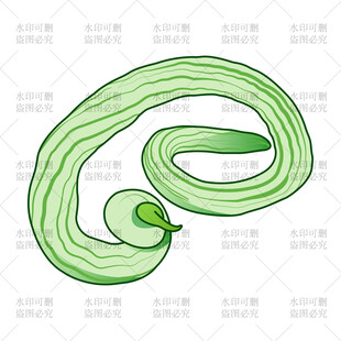 蛇瓜插画