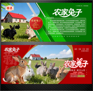 农家兔子