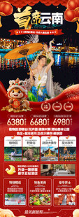 新年春节云西双版纳旅游海报