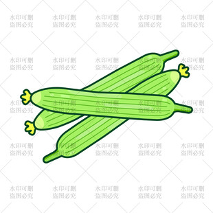 丝瓜插画