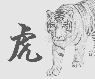 手绘老虎