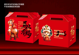 春节包装 年货礼盒