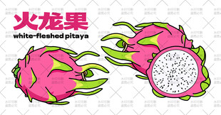 新鲜火龙果插画