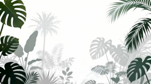 雾气磨砂膜效果绿植贴图