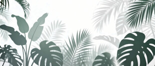 雾气磨砂膜效果绿植贴图