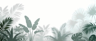 雾气磨砂膜效果绿植贴图