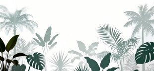 雾气磨砂膜效果绿植贴图