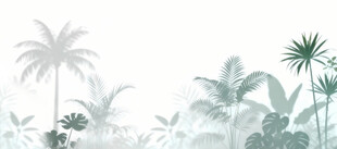 雾气磨砂膜效果绿植贴图