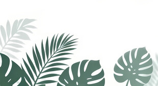 雾气磨砂膜效果绿植贴图