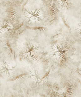 米白色蒲公英纹理背景图