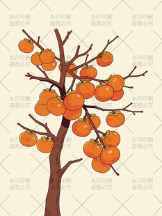 柿子树插画