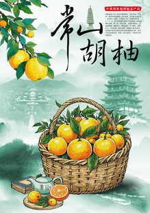 常山胡柚海报