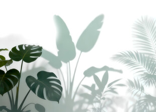 雾气磨砂膜效果绿植贴图