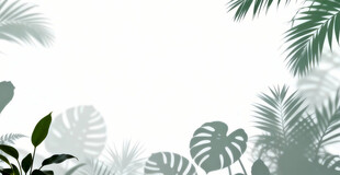 雾气磨砂膜效果绿植贴图