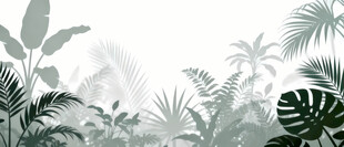 雾气磨砂膜效果绿植贴图