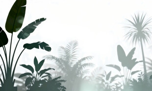 雾气磨砂膜效果绿植贴图