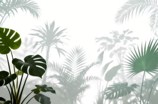 雾气磨砂膜效果绿植贴图