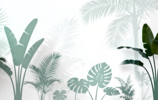 雾气磨砂膜效果绿植贴图