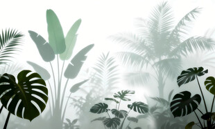 雾气磨砂膜效果绿植贴图