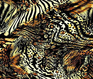 斑马纹豹纹