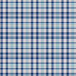 蓝白格子纹理图案