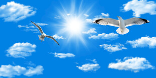 蓝天白云天花软膜