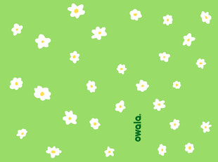 绿色背景上的白色小花