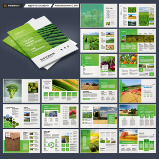 农产品宣传册