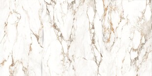 白色鱼肚金大理石石纹