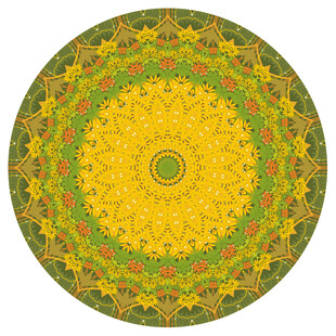 圆形地毯装饰花纹