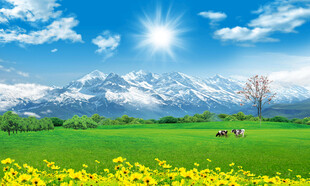 雪山大草原背景图