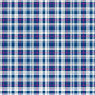 蓝白格子图案纹理