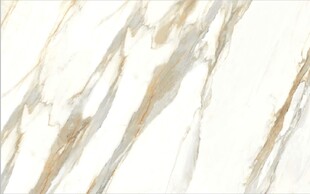 白色鱼肚金大理石石纹