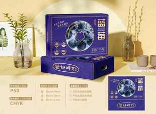 蓝莓水果礼盒包装
